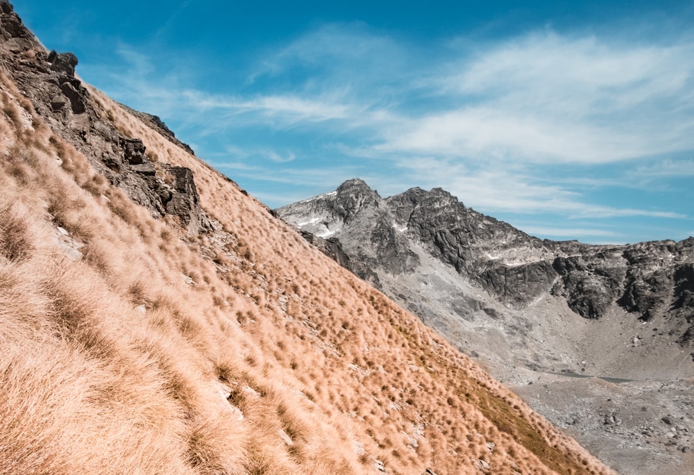 erba marrone sulla montagna