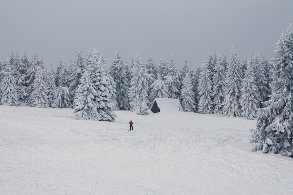 uomo in piedi su terra coperto di neve