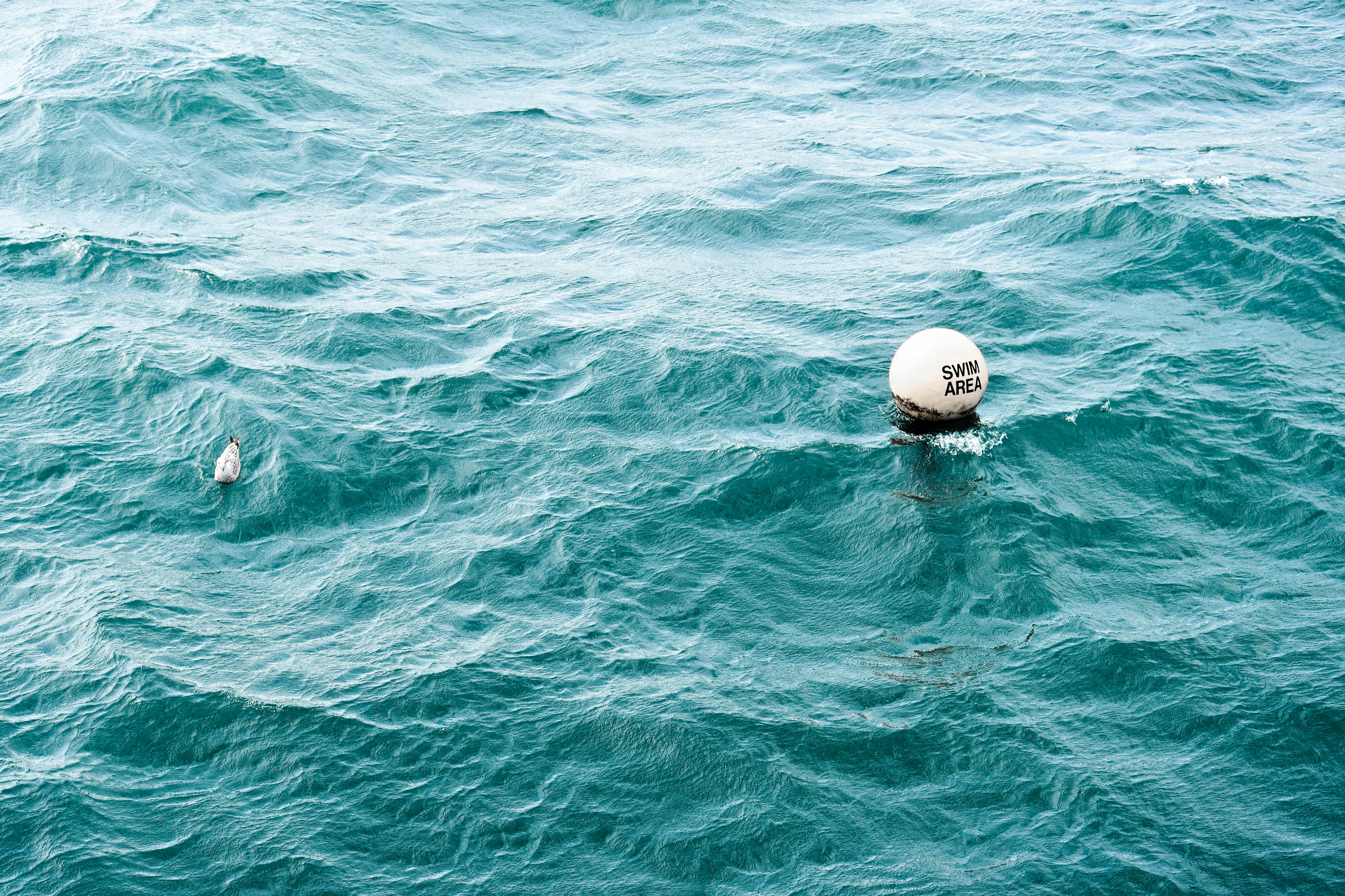 Photo by virussinside