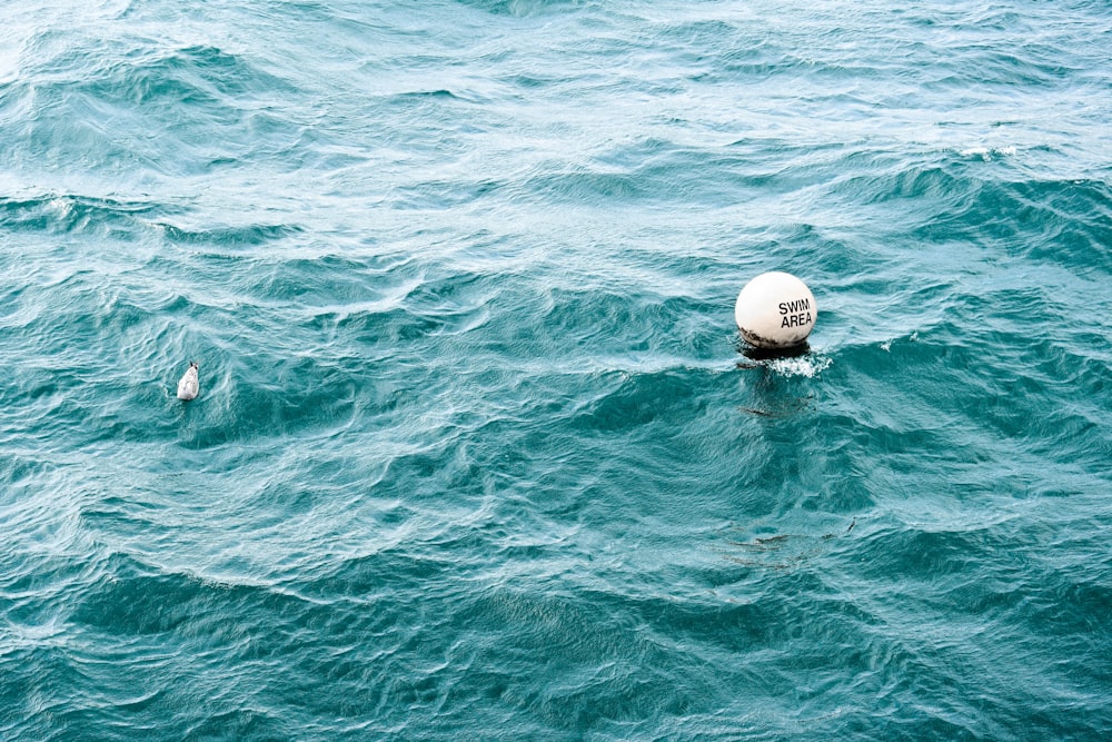 sea during daytime