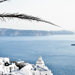 white concrete buildings near ocean during daytime