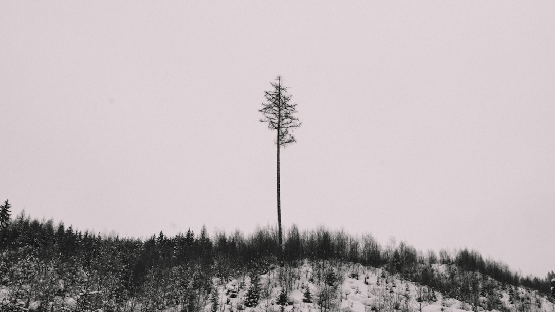 Natural landscape photo spot Kaprun Unkenberg