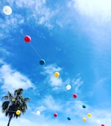 multicolored balloon string hanged near tree