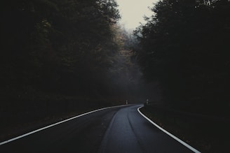 A dark, winding road curves through a dense forest. The tall trees on either side create an enclosed, shadowy atmosphere. The road is wet, suggesting recent rain, and the sky is overcast with a mysterious, foggy ambiance.