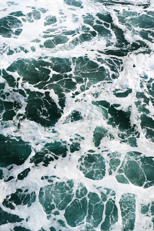 photo of Pacific Beach Ocean near San Diego Zoo Safari Park