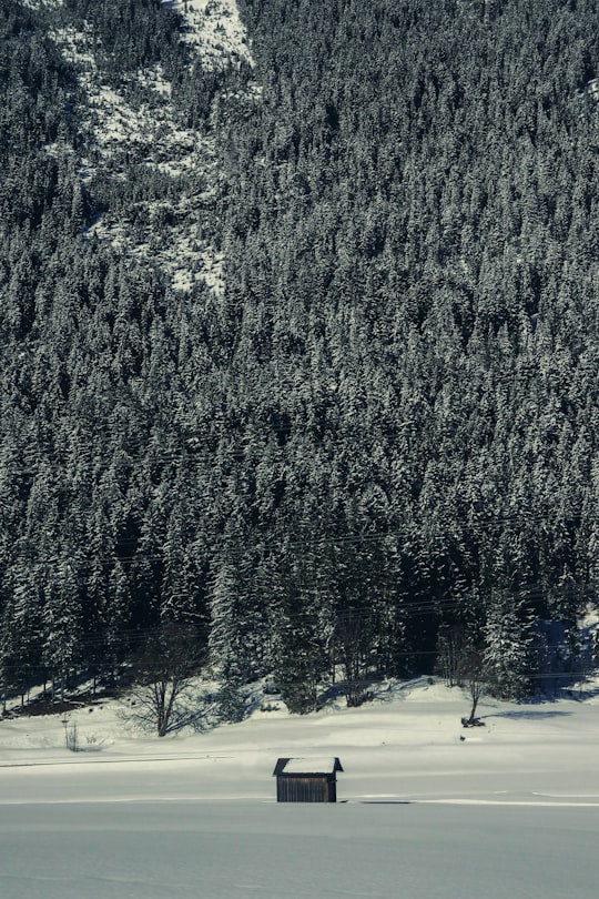 brown shack near green pine mountain in Tyrol Austria