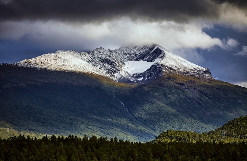 a snow covered mountain with a forest below