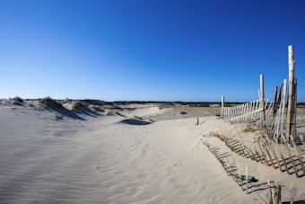 A serene landscape of rolling sand dunes under a clear, deep blue sky. Wooden fences partially buried in the sand provide a rustic element, suggesting protection against further sand movement. Sparse vegetation pokes through the dunes, adding a hint of greenery to the sandy expanse.