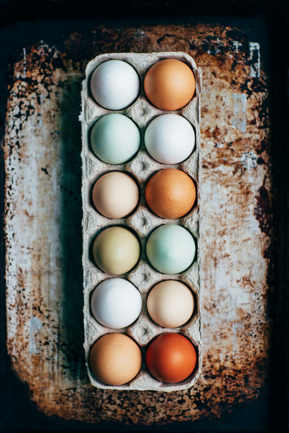 docena de huevos en bandeja