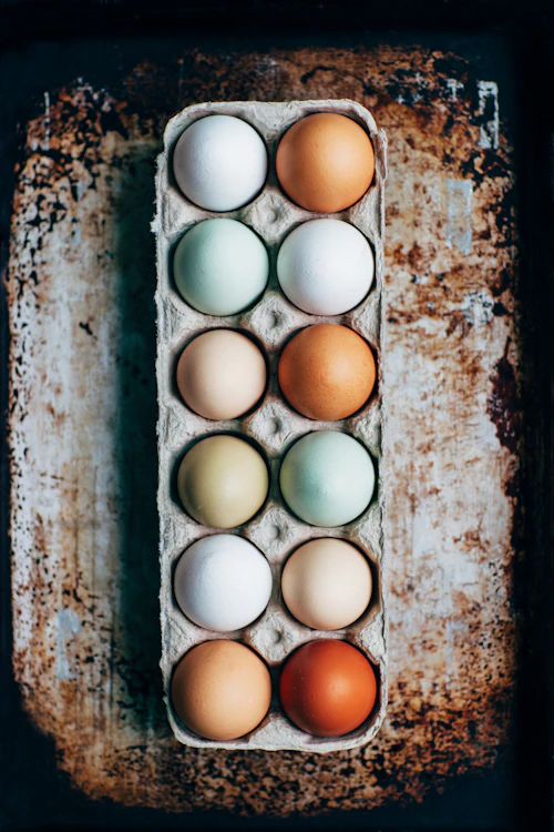 A dozen fresh eggs on a tray