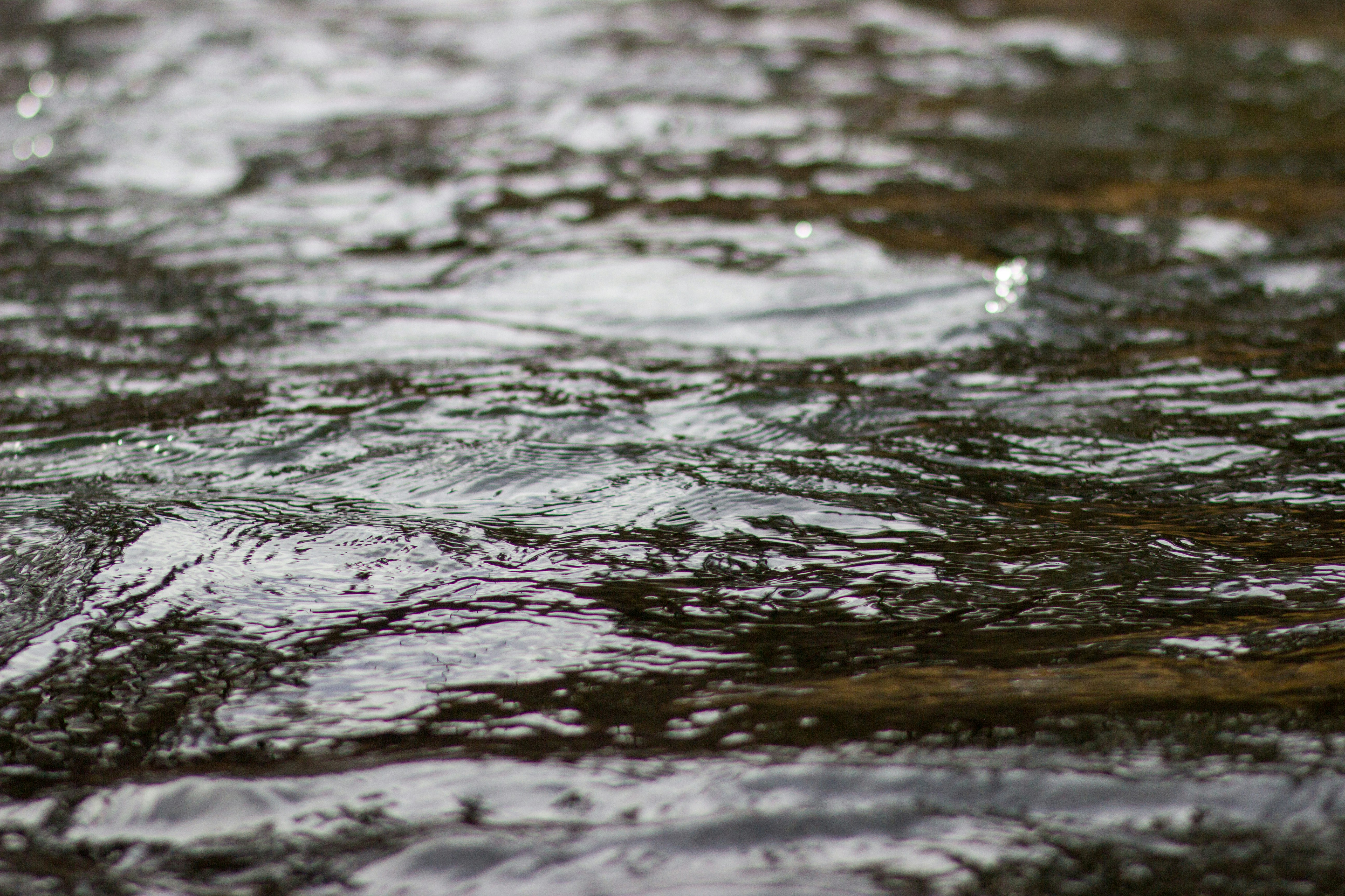 Photo by spring_fed_images