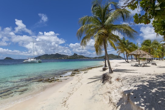 A tropical beach with white sand lined with palm trees, with a catamaran sailing on the turquoise water close to the shore. A distant view of lush green hills under a clear blue sky with scattered clouds enhances the serene setting. Thatched umbrellas and empty lounge chairs indicate a relaxing seaside environment.