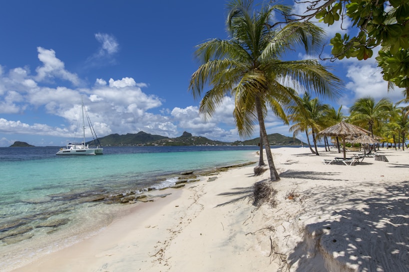 A tropical beach with white sand lined with palm trees, with a catamaran sailing on the turquoise water close to the shore. A distant view of lush green hills under a clear blue sky with scattered clouds enhances the serene setting. Thatched umbrellas and empty lounge chairs indicate a relaxing seaside environment.