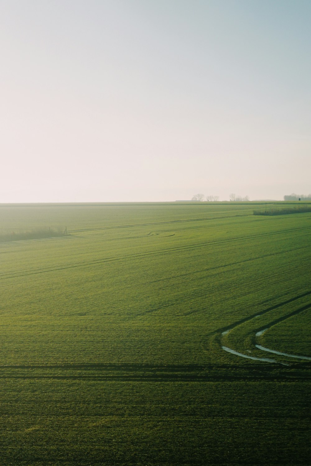 green grass field