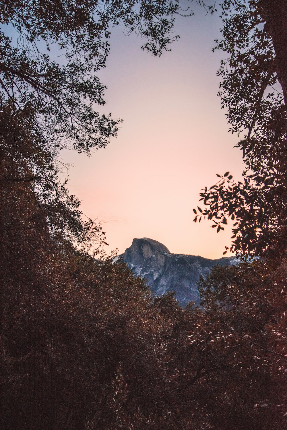 a view of a mountain through some trees