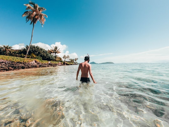 man walking on the shore near green coconut tree in Honolulu United States