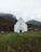 A white church with a dark roof stands in the foreground of a serene, green landscape. The church is positioned centrally, facing forward, with a stone wall surrounding it. Behind the church are tall, forested mountains partially covered in mist or low clouds. The sky above is overcast, contributing to a subdued and calm atmosphere.