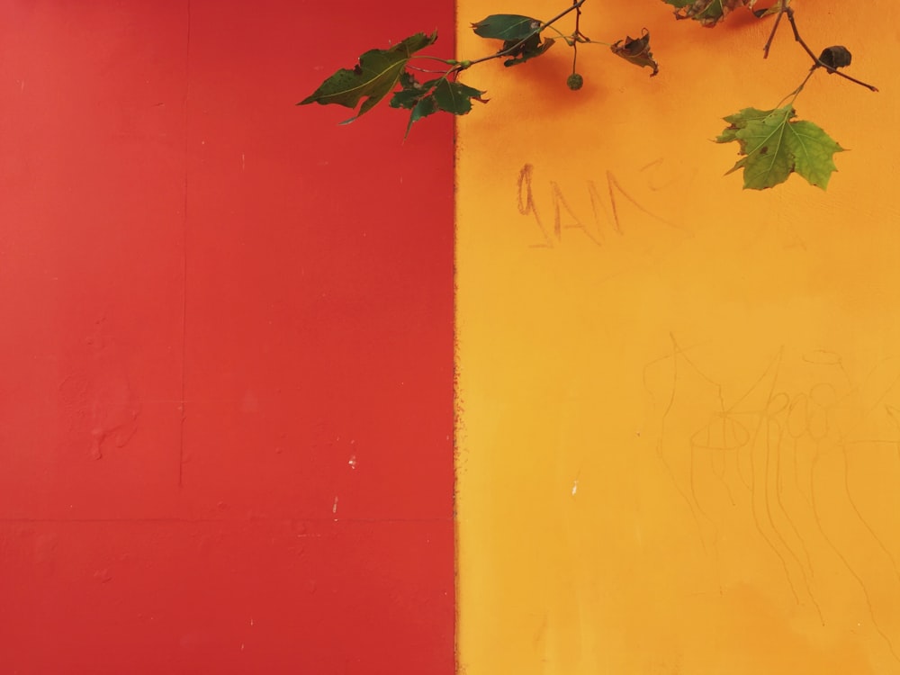 parede pintada de amarelo e vermelho