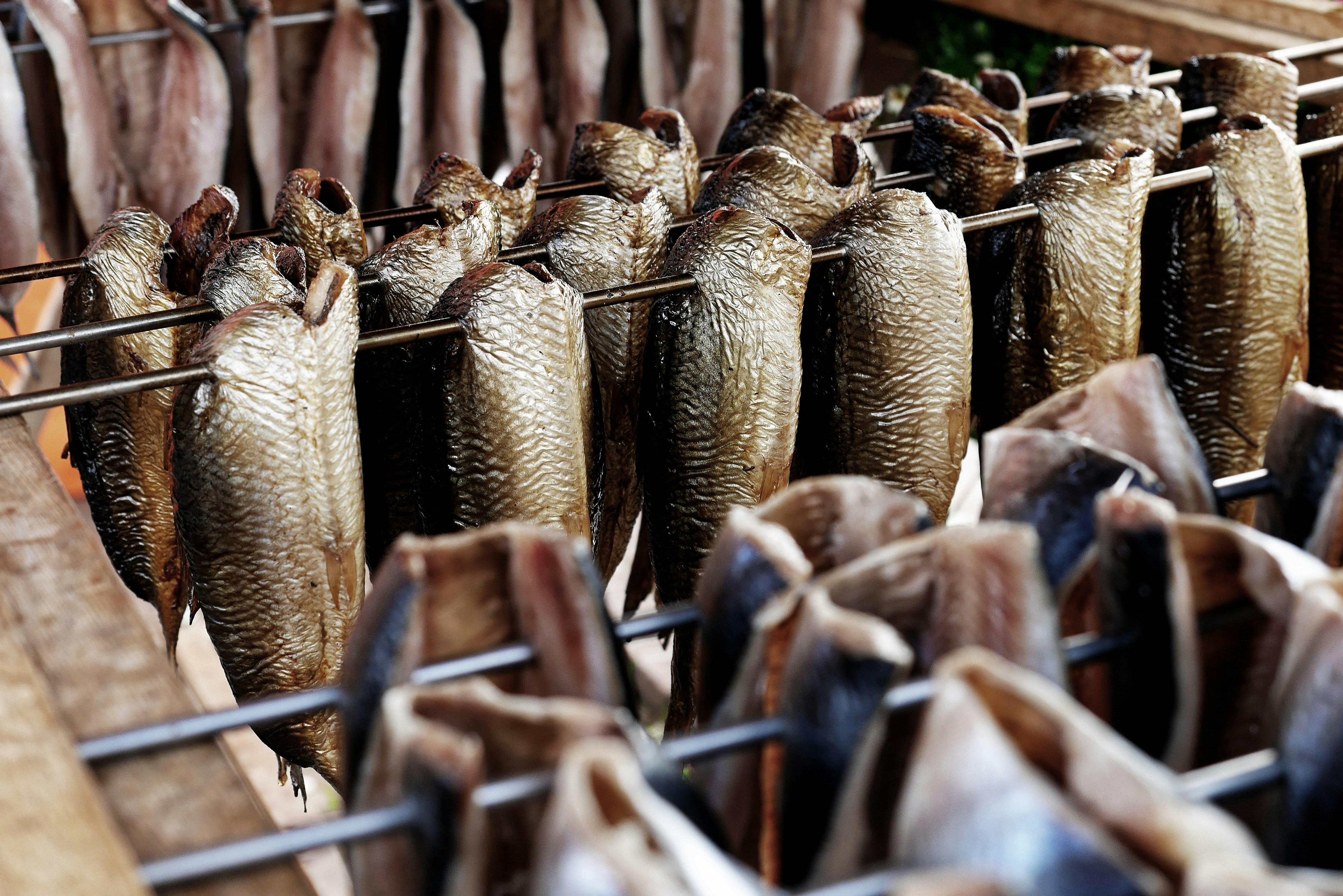 Quem tem gordura no fígado pode tomar o ômega 3?