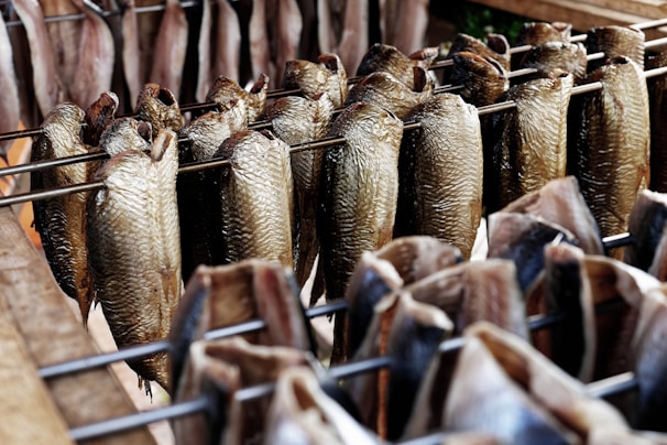Multiple fish are hung on metal rods in a pattern for smoking or drying. The fish have a golden-brown color, suggesting they are in the process of being preserved. The image conveys a sense of traditional food processing and possibly an outdoor or rustic setting with wooden frames visible in the background.