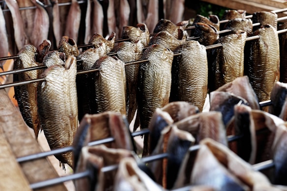 Multiple fish are hung on metal rods in a pattern for smoking or drying. The fish have a golden-brown color, suggesting they are in the process of being preserved. The image conveys a sense of traditional food processing and possibly an outdoor or rustic setting with wooden frames visible in the background.