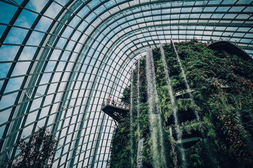 Garden by the Bay, Singapour