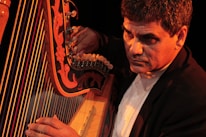 A harp therapist playing soothing melodies for clients.
