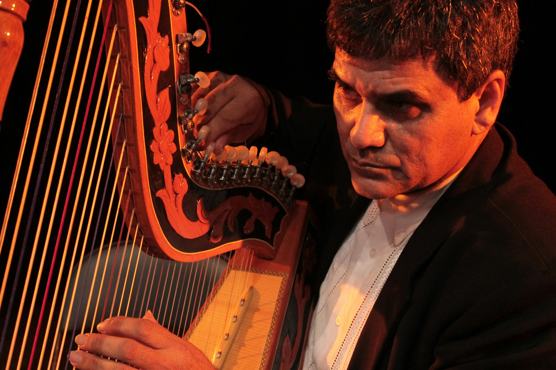 A close-up of Ksenia Sushkevich's hands gracefully playing a golden harp, bathed in warm natural light.