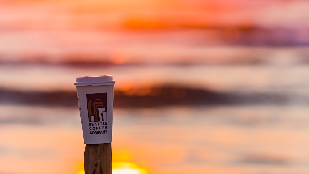 white disposable cup on top of brown log \