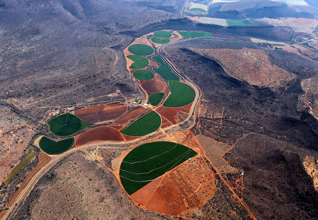 aerial view of green and brown landscape during daytime