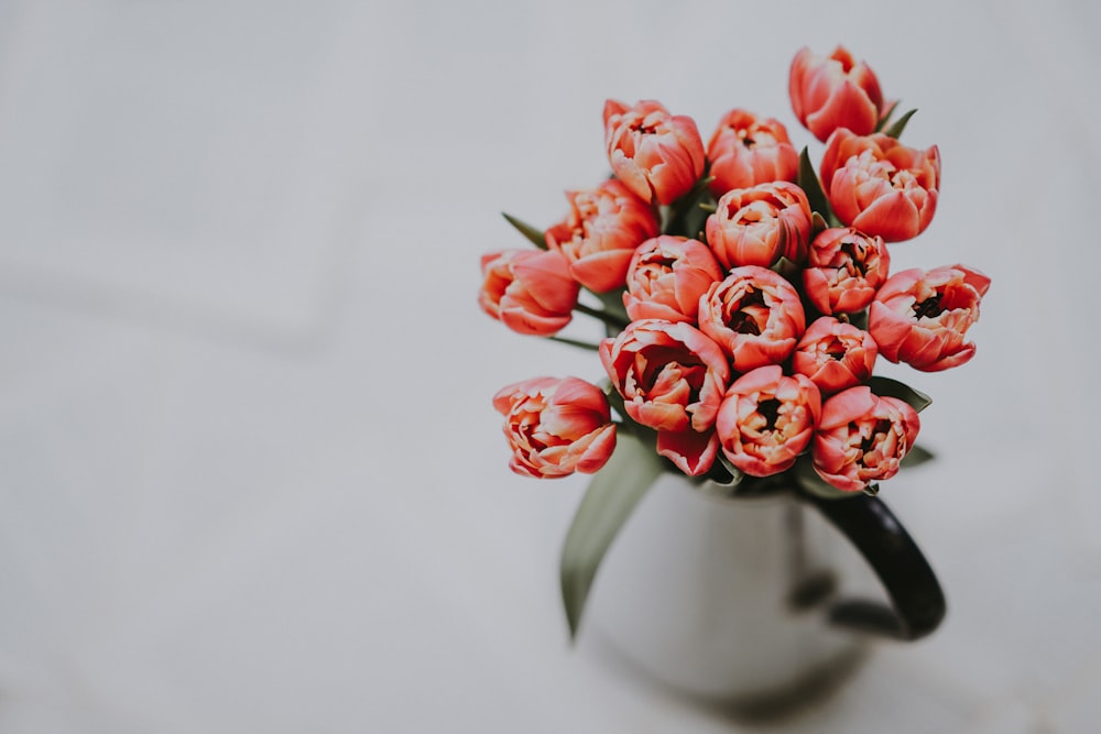 photo of red flower in vase