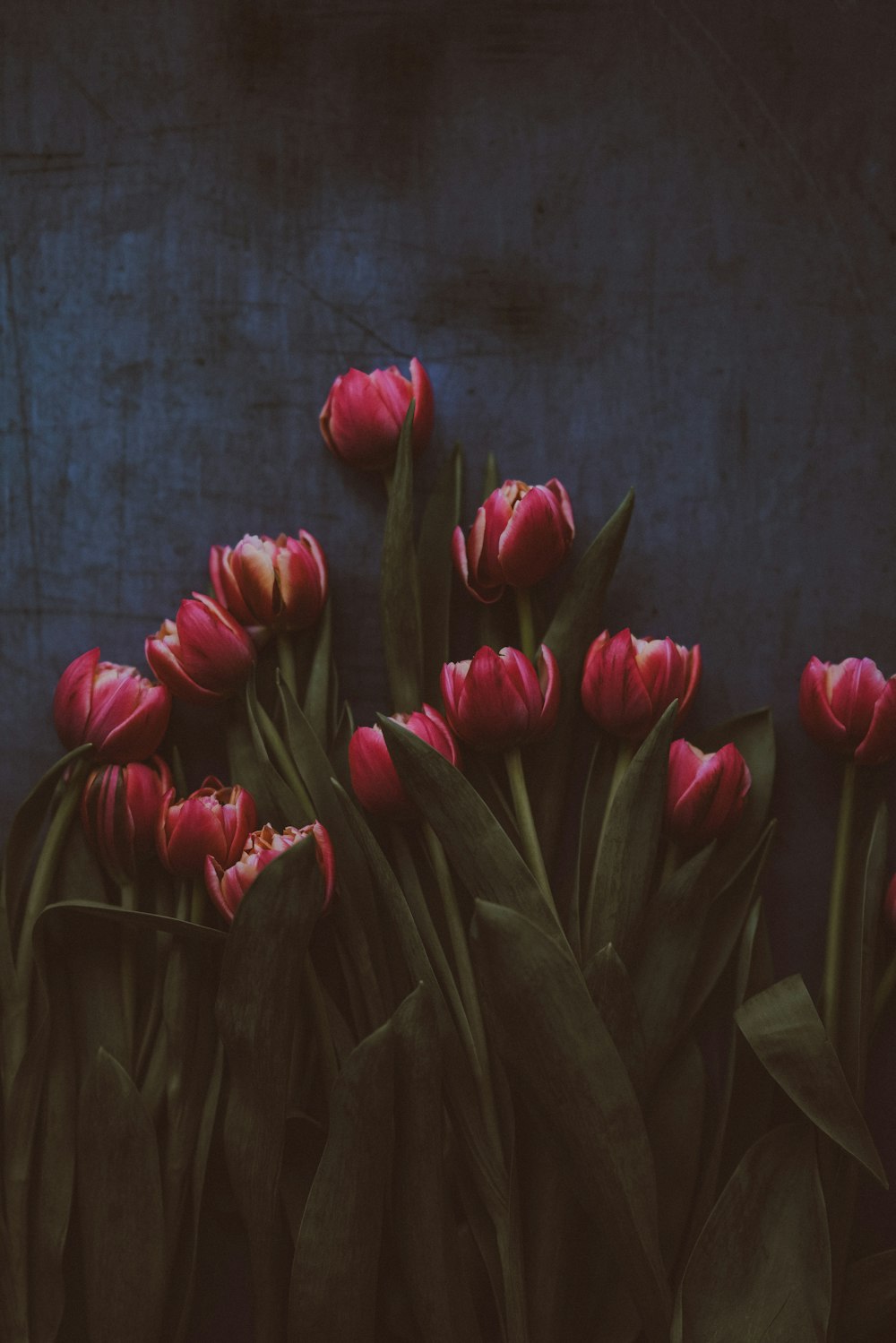 manojo de flores de tulipanes sobre superficie de madera