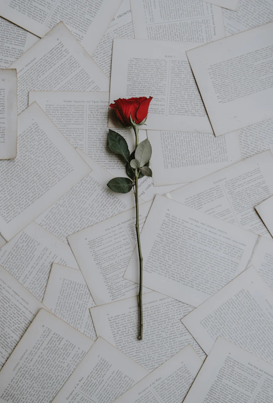 Romantic Valentine's Day decorations