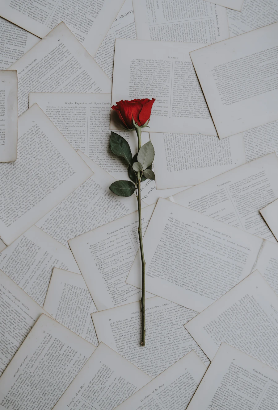 Gıda kolisi ve temel ihtiyaç ürünleri