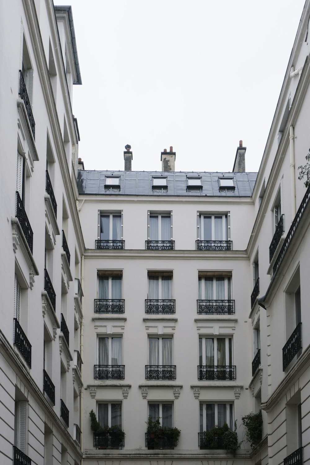 white concrete building