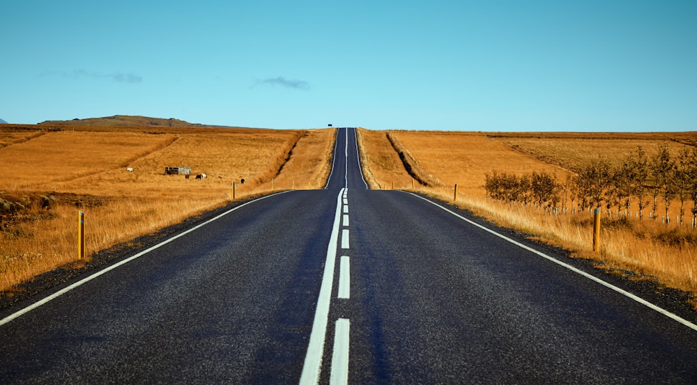 black asphalt road between brown fields during daytime