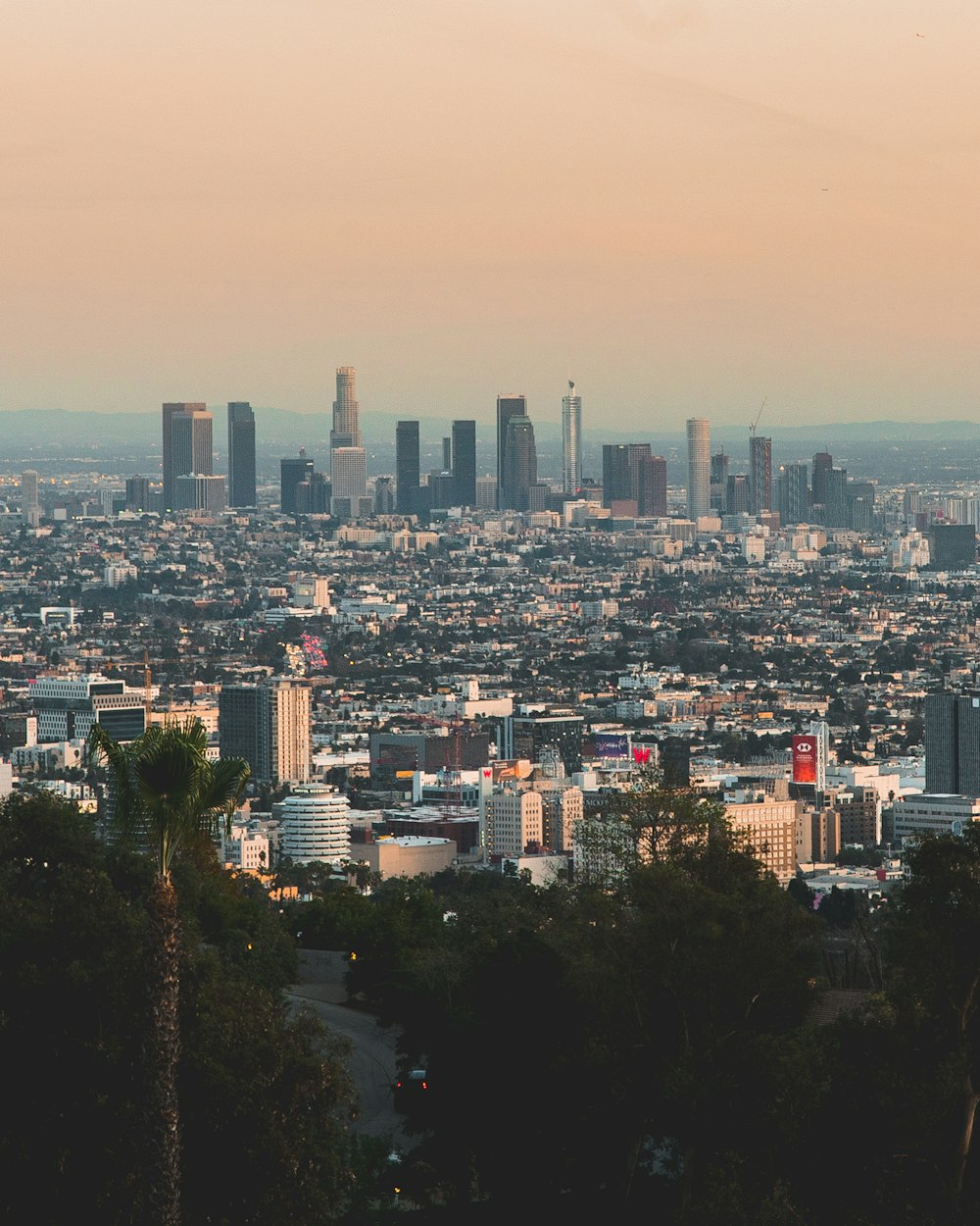 bird's eye view photography of a city