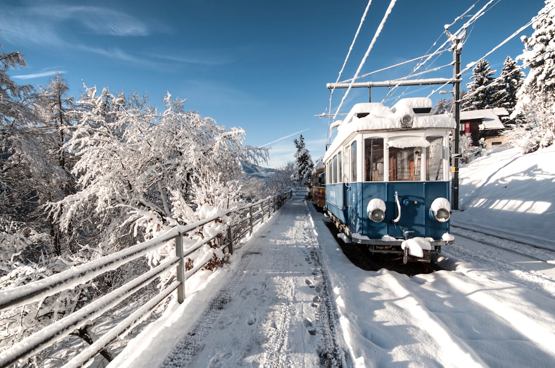 snow covered rail train