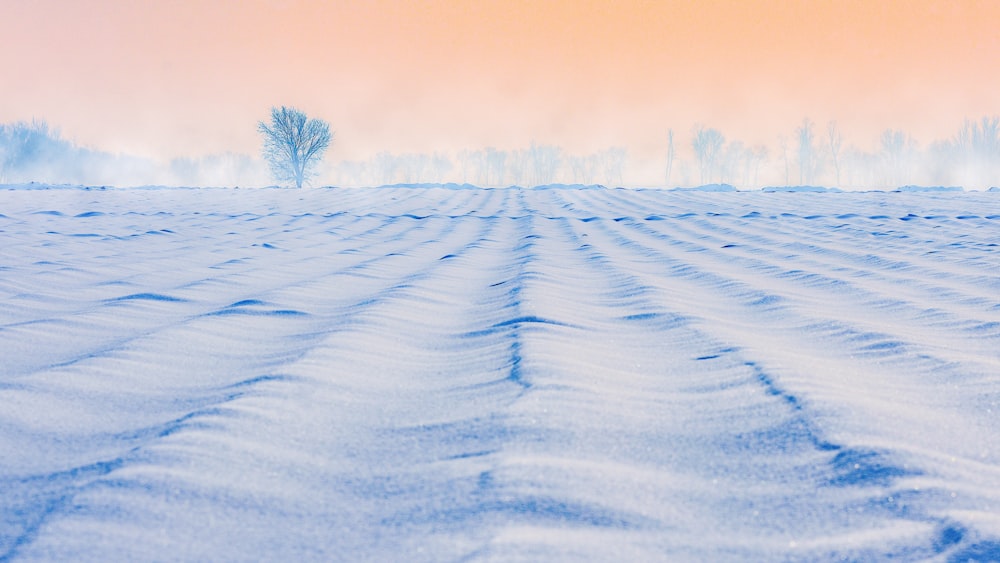 white sand during daytime