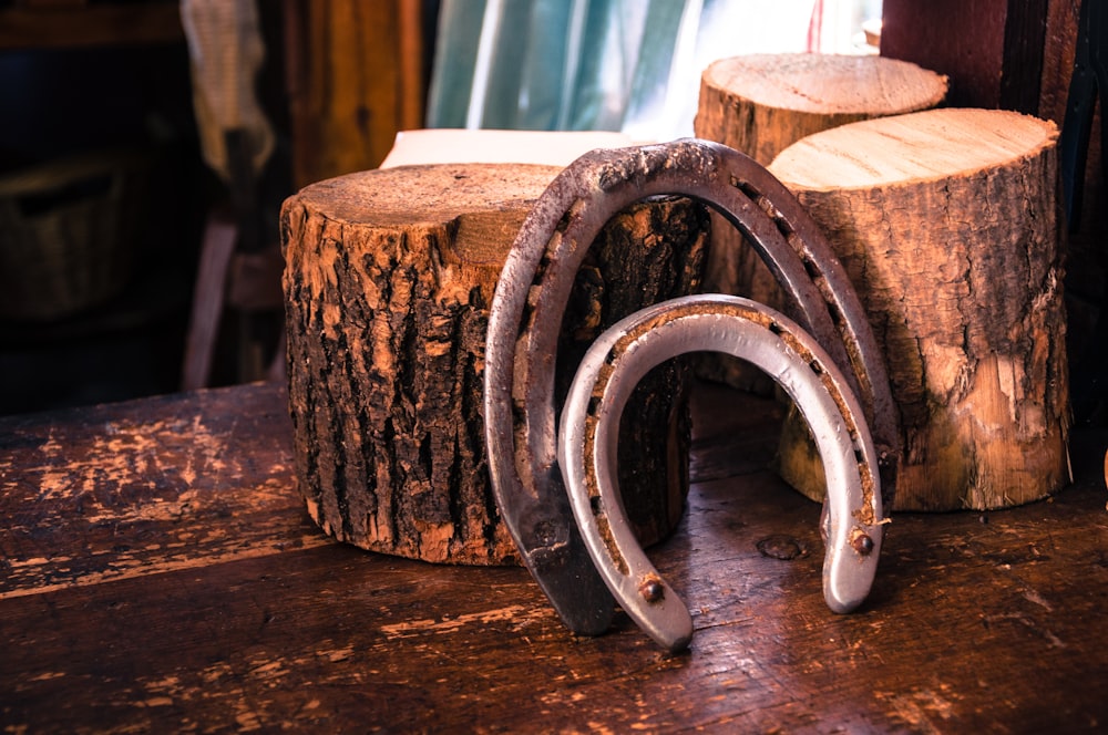 closeup photo of two gray horseshoes