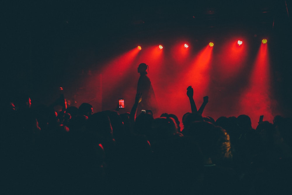 silhouette of people at the concert