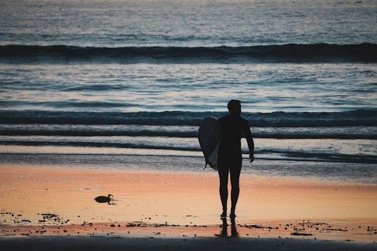 silhouette of man holding surfboard walking near shoreline in Mission Beach United States