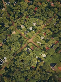 aerial view photography of village during daytime