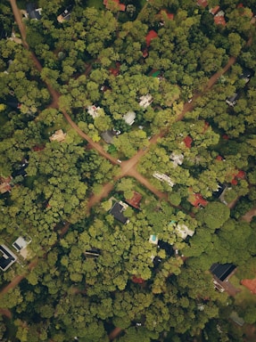 aerial view photography of village during daytime