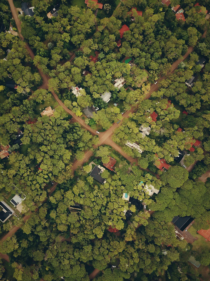 Vista aérea de Cariló entre el bosque y el mar
