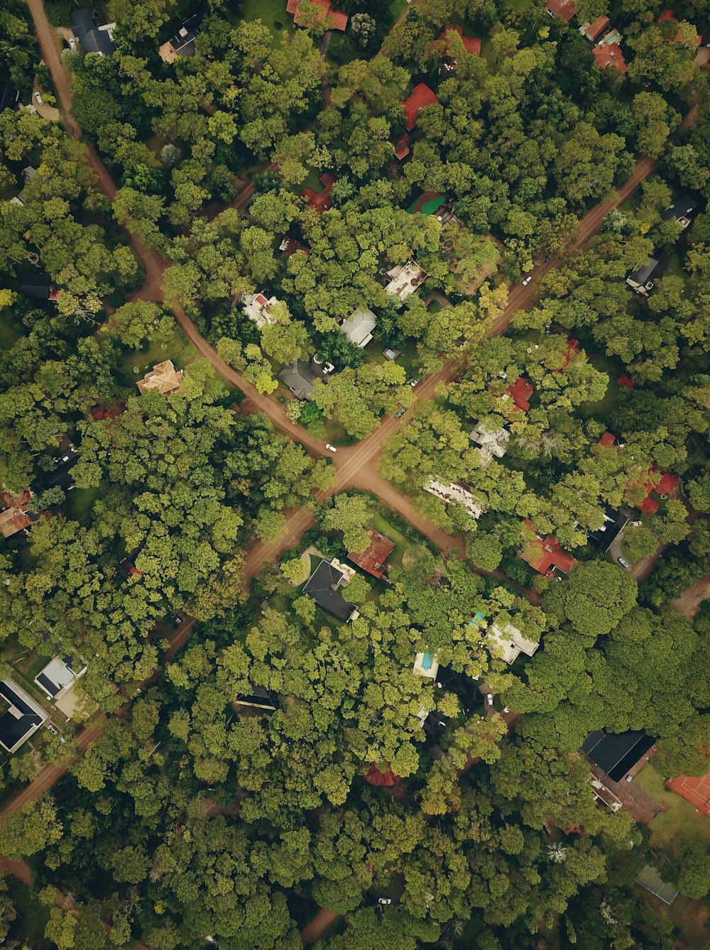 昼間の村の空撮写真