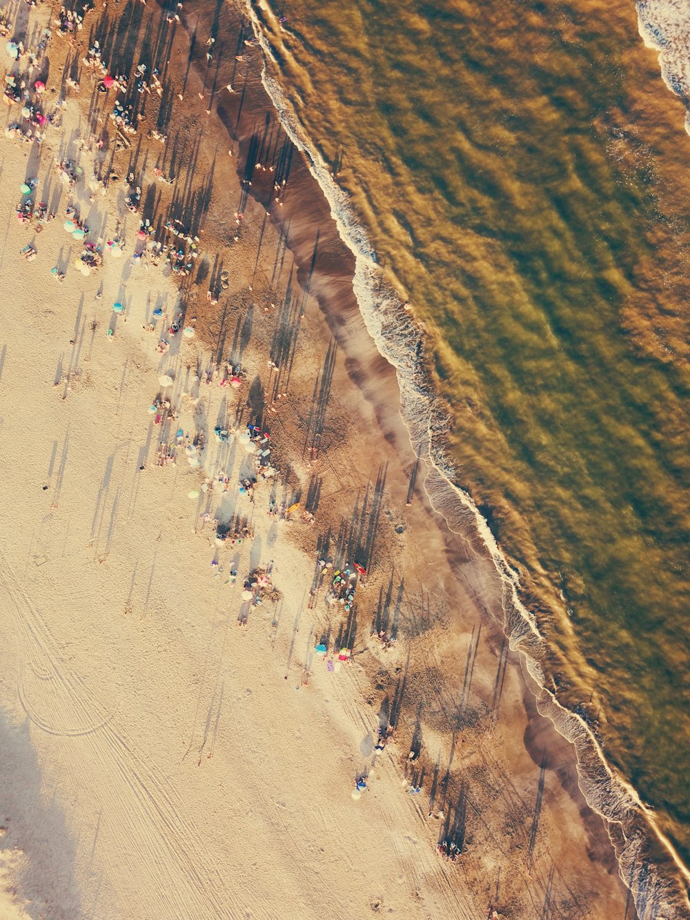 aerial view of people near body of water