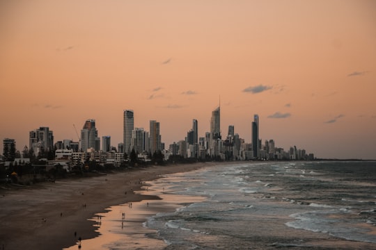 people standing on shore near city buildings and ocean during sunset in Paradise Resort Gold Coast Australia