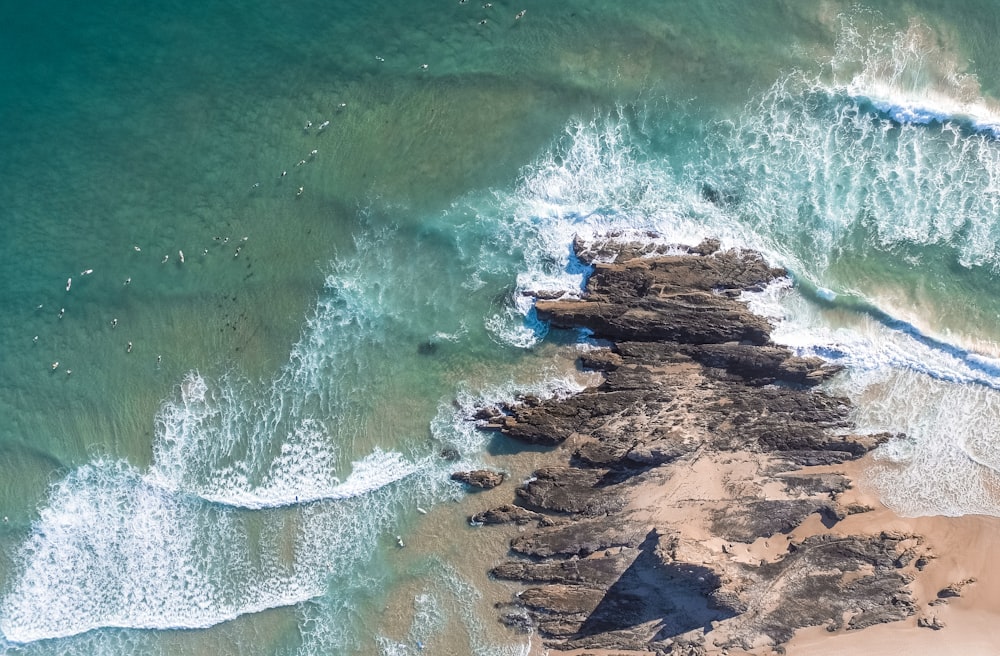 bird's eye view of sea