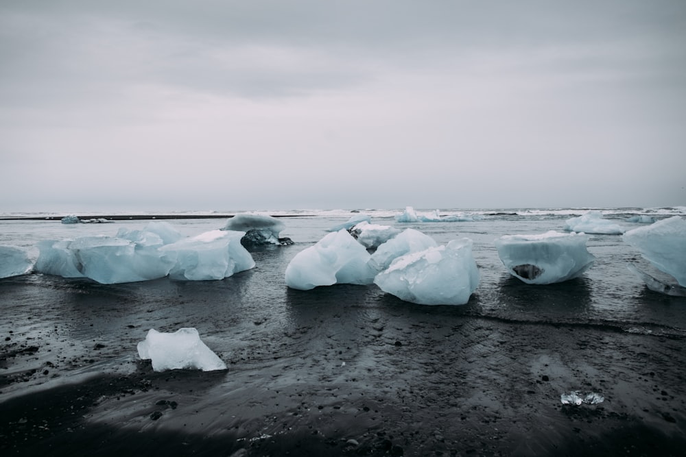 body of water during daytime